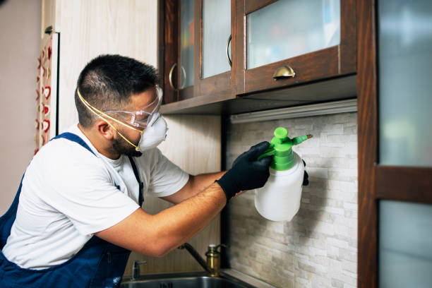 Best Mosquito Control Services  in Stillwater, OK