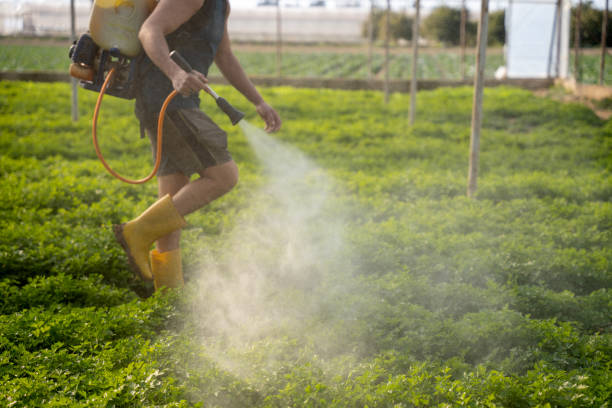 Best Pest Inspection Near Me  in Stillwater, OK