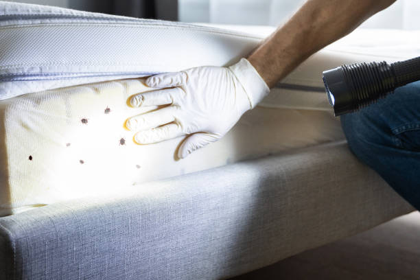 Best Commercial Pest Control Services  in Stillwater, OK