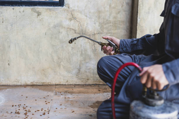 Best Termite Control Services  in Stillwater, OK